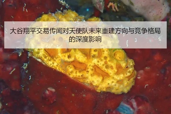 大谷翔平交易传闻对天使队未来重建方向与竞争格局的深度影响